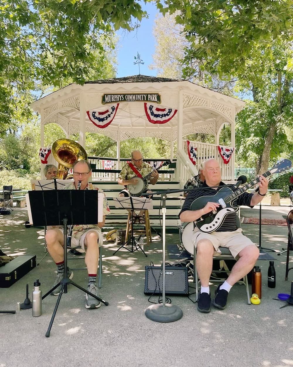 A group of musicians perform on a stage in Murphys Community Park, surrounded by trees and festive decorations.